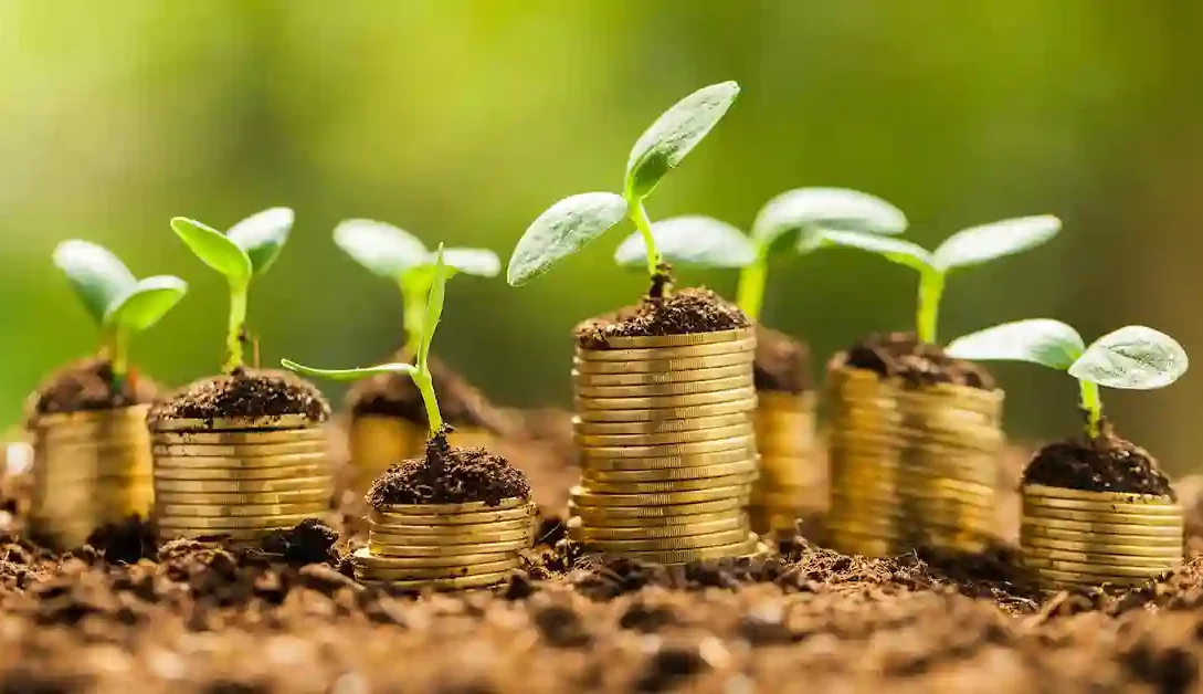 Micro Loans