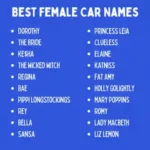 Black Car