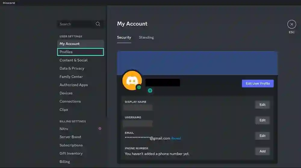Discord Names